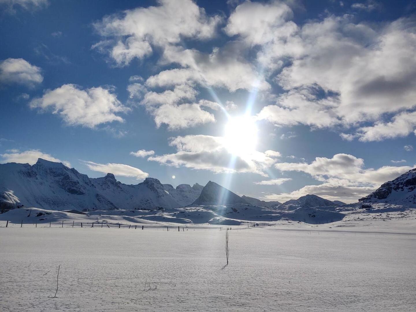 Fredvang Farm House - Lofoten Zewnętrze zdjęcie