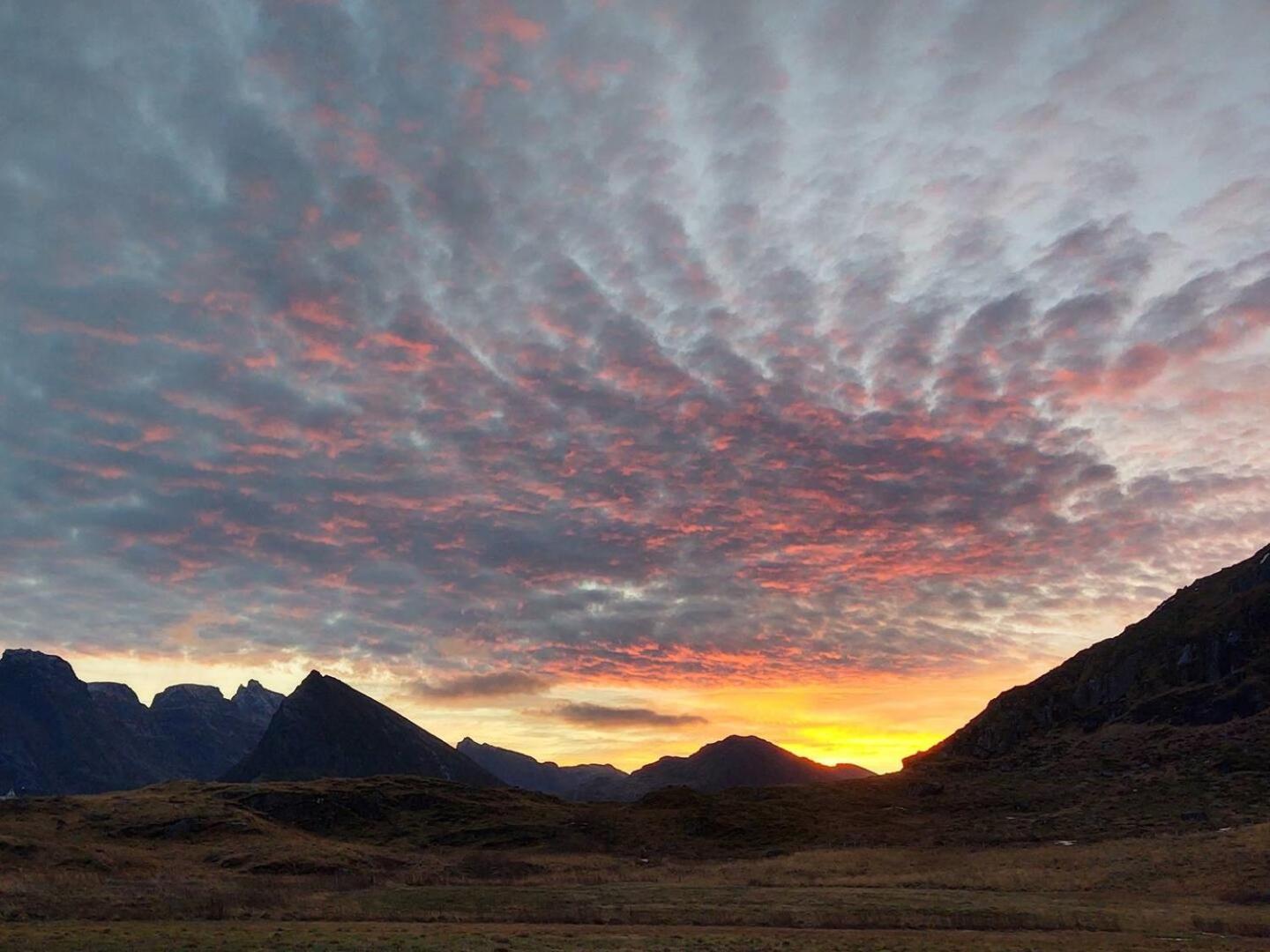 Fredvang Farm House - Lofoten Zewnętrze zdjęcie
