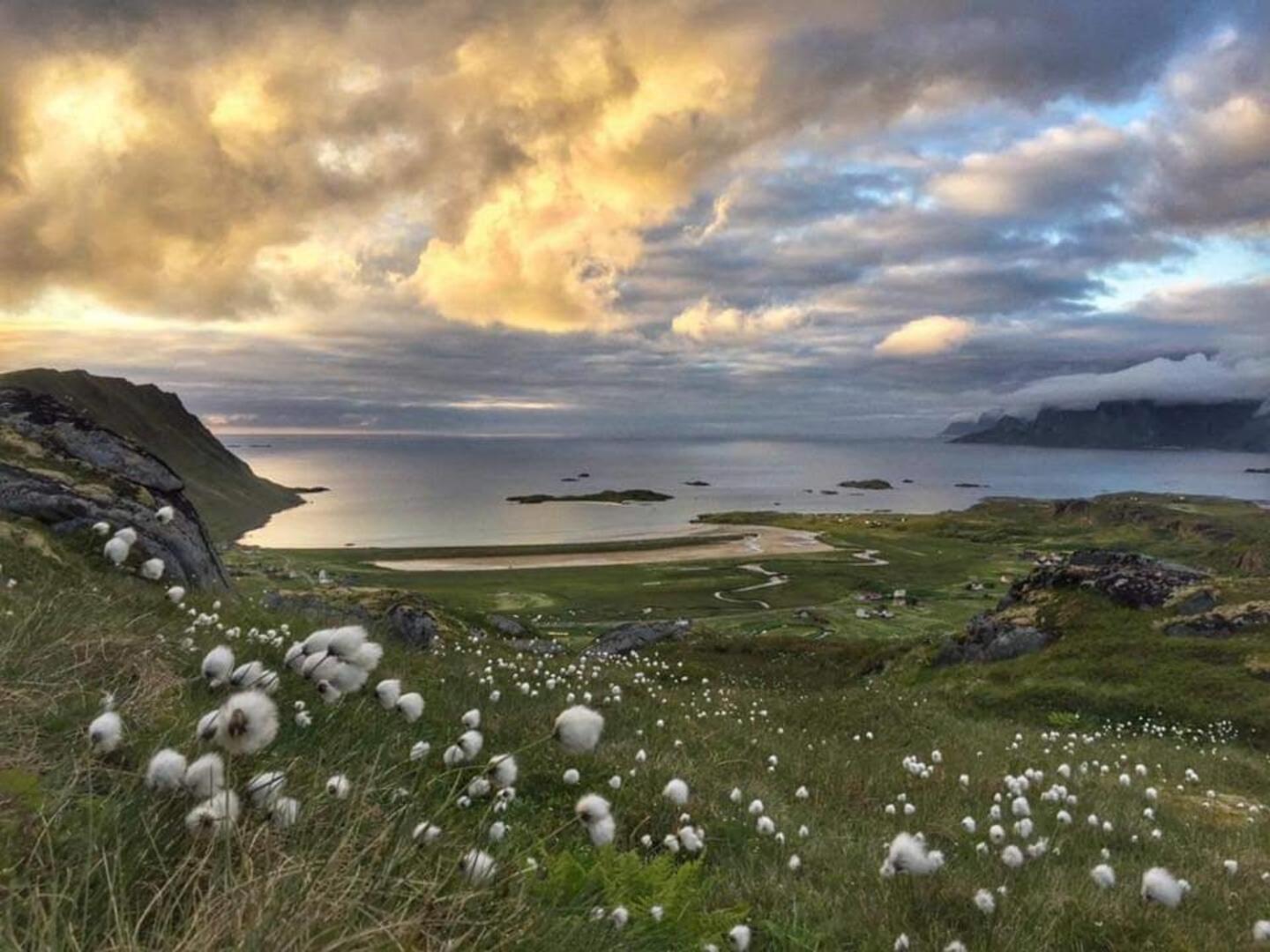 Fredvang Farm House - Lofoten Zewnętrze zdjęcie